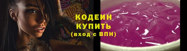 мдпв Новозыбков