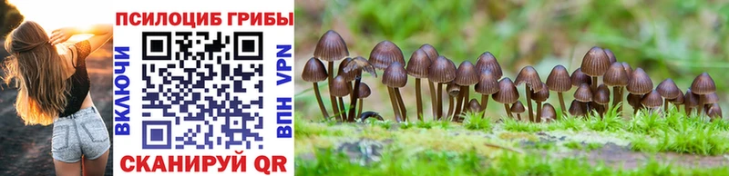 Псилоцибиновые грибы MAGIC MUSHROOMS  Курчатов 