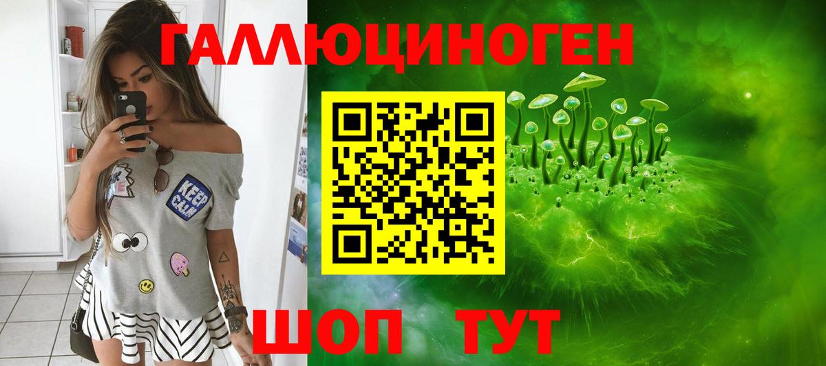 наркотики  Курчатов  Псилоцибиновые грибы Psilocybe 